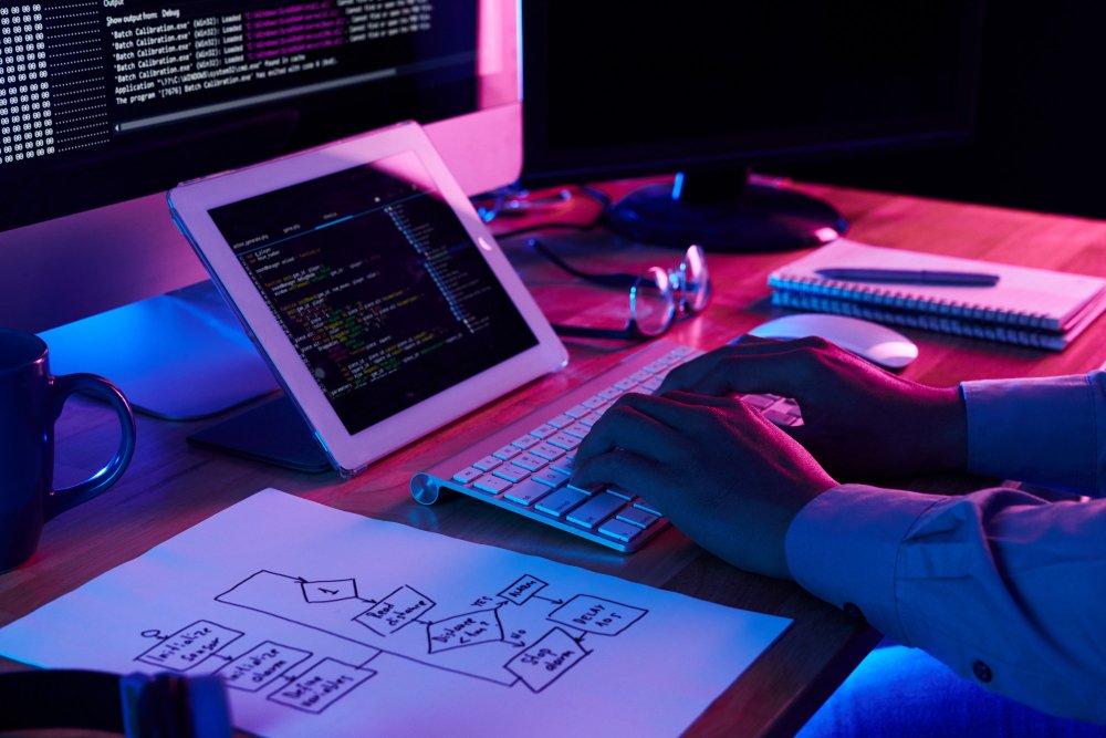 website development in delhi